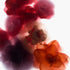 Abstract Blooms Floral Art Print
